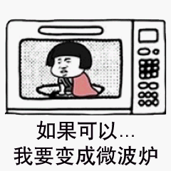 如果可以我要变成微波炉