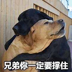 图片中两只狗狗相互拥抱，一只黑色狗狗从后方紧紧环抱住黄色狗狗，黄色狗狗则微微仰头，表情平静。图片底部配有文字“兄弟你一定要撑住”，整体营造出温暖、互相鼓励的氛围，展现了动物间的深厚情谊。
