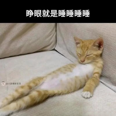 这是一张贴合当下年轻人躺平摆烂心态的猫咪表情包，画面中一只橘白相间的猫咪仰躺在沙发的靠角位置，双腿伸直摊开，模仿人类的躺平姿势，双眼紧闭正睡得十分放松惬意。图片顶部配有醒目的文字“睁眼就是睡睡睡睡”，精准传递出一种不想动弹、只想通过睡觉来逃避或放松的慵懒状态，很容易引发人们的共鸣。图片左下角带有水印“@人类嘴替发言”，标注了内容的发布者。
