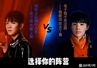 这是一张网友恶搞的阵营对比梗图，画面以橙蓝分割线分为左右两部分：
左侧是被恶搞为「保守派 芙蓉王源」的王源形象，手持红色物品，配文「烟草才是烟中之本」；
右侧是被恶搞为「维新派 尼古丁真」的丁真形象，正面站立，配文「电子烟才是出路」；
画面底部标注「选择你的阵营」，引导观众进行趣味选择。

谐音梗说明：将王源的名字和香烟品牌「芙蓉王」结合，丁真的名字和「尼古丁」结合，通过名字谐音制造恶搞的身份设定，形成反差搞笑的效果。