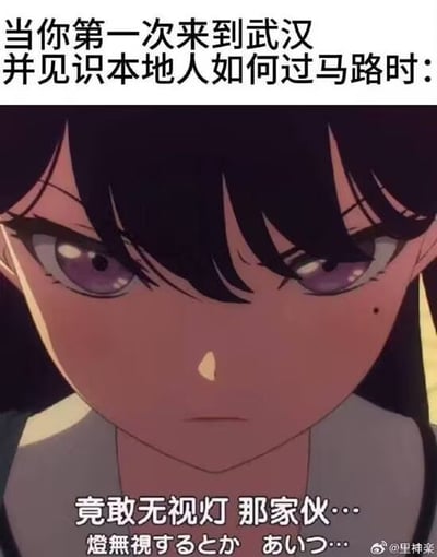 图片上方文字为'当你第一次来到武汉并见识本地人如何过马路时：'，下方是一位紫色眼睛、表情严肃的动漫女孩特写，眼神锐利，带有惊讶或难以置信的情绪。图片底部配有文字'竟敢无视灯 那家伙…'及对应的日文'燈無視するとか あいつ…'，整体通过动漫角色的夸张表情来幽默调侃武汉本地人过马路可能较为大胆的现象。