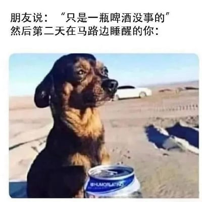 图片上方配有文字“朋友说：‘只是一瓶啤酒没事的’ 然后第二天在马路边睡醒的你：”，下方是一张狗狗坐在马路边的照片。狗狗毛发略显凌乱，眼神迷茫地望向一侧，前爪边放着一罐啤酒，背景是空旷的道路和远处的车辆，幽默地表现了轻信朋友“只喝一瓶啤酒没事”后，第二天在路边醒来的狼狈场景。