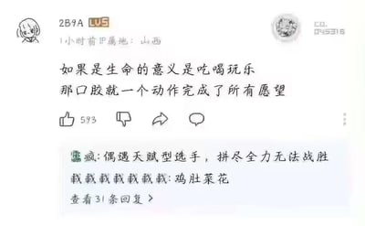 这是一张社交平台截图，显示用户"2B9A"（LV5等级）1小时前在山西发布的一条动态。内容为："如果是生命的意义是吃喝玩乐 那口胶就一个动作完成了所有愿望"，配图是一个简单的卡通头像。帖子获得了593个点赞，下方有评论区，显示"偶遇天赋型选手，拼尽全力无法战胜"和"鸡肚菜花"等评论，并有"查看31条回复"的选项。整体风格轻松幽默，带有自嘲和玩世不恭的意味。