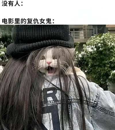 图片上方有两行文字，分别是“没有人：”（无后续内容）和“电影里的复仇女鬼：”，下方是一张猫咪的照片。猫咪的脸被长长的深色毛发覆盖，只露出部分眼睛和张开大叫的嘴巴，头上戴着黑色针织帽，身穿带有大写字母“R”的灰色牛仔外套，背景是绿色灌木丛和建筑物。通过将电影中恐怖的复仇女鬼形象与猫咪搞笑的造型进行对比，制造出强烈的反差萌和幽默感。