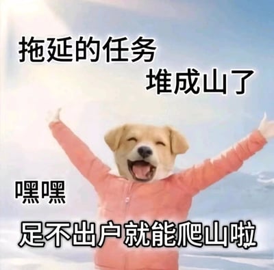 这是一张充满自嘲意味的搞笑梗图，创作者将狗狗开心大笑的脸部图像，与穿着粉色衣服、双臂高举欢呼的人物身体合成在一起。图中文字通过玩梗的方式，把拖延下来堆积如山的任务调侃成可供“攀爬”的山，用“嘿嘿 足不出户就能爬山啦”的摆烂式乐观，精准表达了当代人面对堆积的待办任务时，不想行动反而自我调侃的心态，十分贴合职场人或学生群体拖延后的情绪，容易引发共鸣。