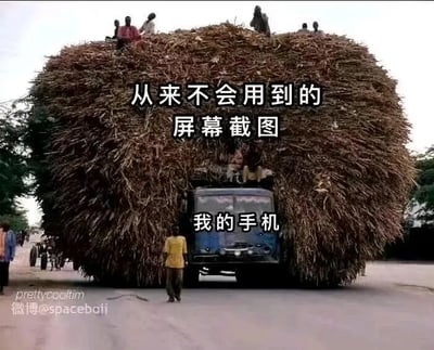 一辆卡车严重超载，几乎完全被干草或者秸秆包裹住，只有驾驶室部分露出，画面中添加了“从来不会用到的屏幕截图”和“我的手机”两行大字作为对比。本图形象地吐槽了现代人手机里存放了大量无用的截图，但永远不会去查看或用到，画面夸张，带来幽默的共鸣。

亮点：以“卡车严重超载”类比“截图数量爆多”，表达了夸张和戏谑，是典型的生活自嘲类网络幽默。

无明显双关或谐音，但视觉类比暗示非常鲜明。