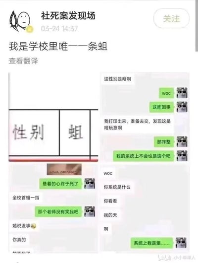 这是一则充满社死感的聊天记录截图，用户遭遇了系统乌龙事件——自己的个人信息表格里，性别栏被错误显示为“蛆”。和朋友的聊天中，用户从最初的震惊、担忧，到发现自己系统里性别也是“蛆”后的崩溃，再到询问老师是否会笑话自己的尴尬，全程被朋友调侃“全校首蛆一指”，整个过程尴尬又好笑，完美诠释了校园社死现场的精髓。没有谐音梗或暗示，纯粹是系统错误导致的乌龙事件。