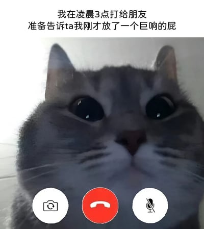图片主体是一只灰猫的近距离特写，猫咪双眼圆睁，眼神中充满惊讶。图片上方配有文字：“我在凌晨3点打给朋友 准备告诉ta我刚才放了一个巨响的屁”，底部有三个模拟视频通话的图标（相机、红色电话、静音麦克风），营造出猫咪正在进行视频通话的场景。整体内容以幽默的方式展现了深夜与朋友分享沙雕趣事的日常，充满轻松搞笑的氛围。