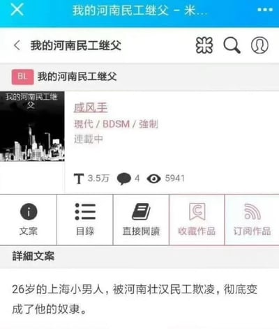 该图片为一个阅读类应用的界面截图，展示了一部名为《我的河南民工继父》的作品。作品被标记为BL类型，包含现代、BDSM、强制等标签，处于连载中状态。界面显示该作品有3.5万T（可能指收藏或推荐数）、4条评论和5941次阅读量。下方有详细文案描述：'26岁的上海小男人，被河南壮汉民工欺凌，彻底变成了他的奴隶。'此内容存在明显的地域歧视和不良导向，将特定地区人群与负面、暴力情节不当关联，属于应当抵制的不良信息。
