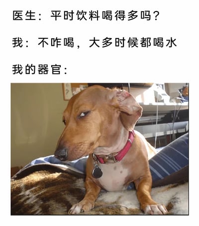这是一张图文混排的搞笑网络梗图，上方呈现了一段就医场景的对话：医生询问“我”平时饮料的饮用情况，“我”嘴硬回答自己很少喝饮料，大多时候只喝水；下方搭配了一只表情鄙夷、斜眼嫌弃的腊肠犬图片，用来指代“我的器官”，通过狗狗嫌弃的神态，表现出“我”在说谎，器官拆台的反差感，精准调侃了生活中很多人在面对医生询问健康相关问题时嘴硬掩饰的真实状态，充满趣味。