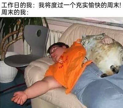 这是一张极具共鸣感的职场梗图，上方通过文字对比呈现两种状态：工作日的我充满期待地表示“我将度过一个充实愉快的周末！”，而周末的我则对应配图里的场景——一个穿着橙色上衣、蓝色裤子的人双眼紧闭，疲惫地瘫在沙发上昏睡，四肢完全放松，一只猫咪也慵懒地躺在他的肚子上，生动还原了众多上班族在工作日对周末有诸多规划，结果到了周末只想彻底躺平休息、放空自己的真实日常，精准戳中打工人的生活痛点。