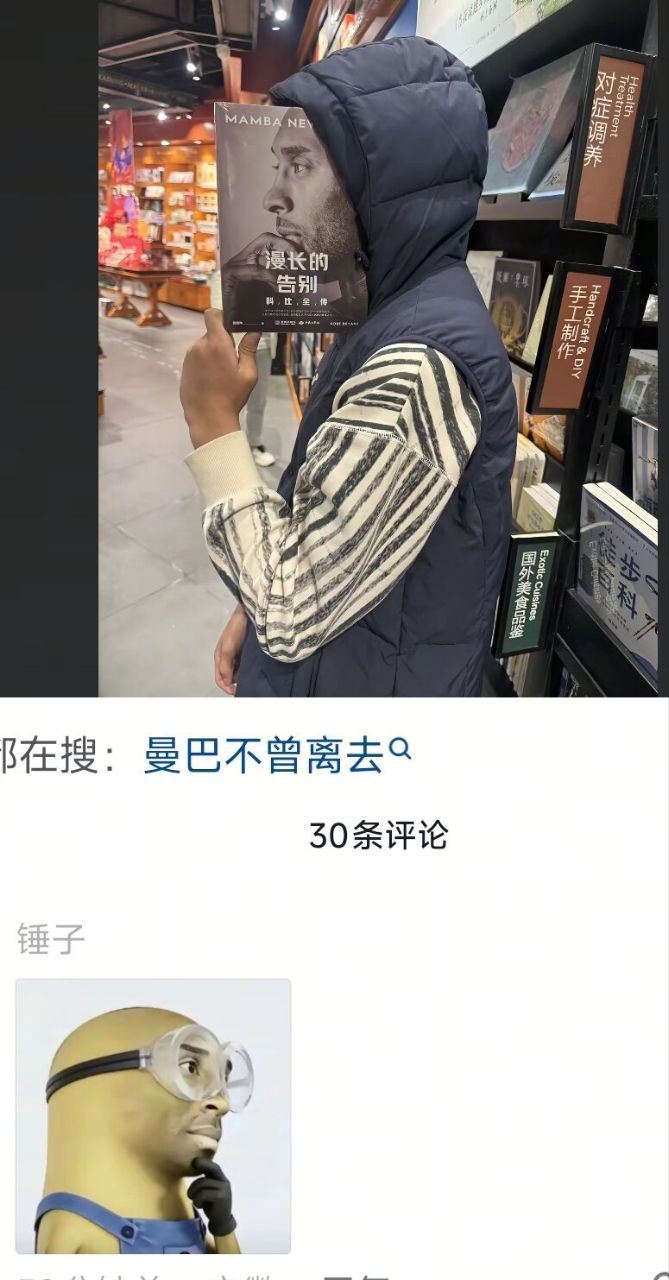 神偷奶爸
