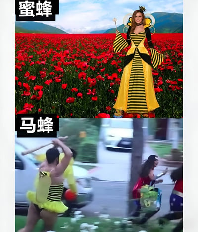 图片分为上下两部分进行对比。上半部分标题为“蜜蜂”，一位女性身着黄黑条纹的蜜蜂造型长裙，头戴触角发饰，背后有黄色翅膀，手持魔法棒，优雅地站在一片红色花海中，背景是蓝天白云和远山，整体氛围唯美。下半部分标题为“马蜂”，一名男性穿着暴露的黄黑条纹蜜蜂装，仅覆盖上身和短裤部分，手持棒球棒做出挥打的动作，背景是街道和模糊的车辆行人，画面充满动感和一丝滑稽。通过服饰、场景和动作的强烈反差，幽默地展现了“蜜蜂”与“马蜂”在大众印象中的不同形象。