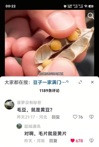 这张图是短视频平台内容加评论区的截图，上半部分是短视频画面：一只手捏着已经成熟、剥开的豆荚，内部有三颗黄色的豆子，画面配文“毛豆熟透后就是黄豆”，同时顶部保留了手机的状态栏信息；下半部分是该视频的评论区，显示共有1189条评论，第一条评论是用户“菠萝没有秘密”发出的提问“毛豆，就是黄豆？”，第二条高赞回复是用户“喆城通讯”发出的谐音梗内容，借用毛豆和黄豆的关联玩低俗谐音梗，属于网友玩梗的搞笑内容。