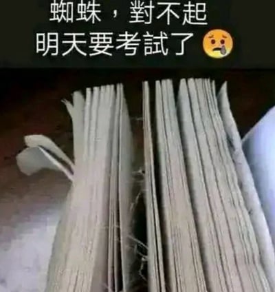 这是一张考试季学生用书的梗图，上方配有文字“蜘蛛，对不起，明天要考试了”，并附有一个落泪表情符号。下方是一本书，书本的中间夹着一只蜘蛛，明显可以看出蜘蛛的丝网结构。图意为学生因考试复习需要翻书，被迫打扰了在书页间结网的蜘蛛，体现考前焦虑和无奈，兼带一点网络幽默。整体以轻松幽默风格表现学业压力和人与自然的有趣相遇。

无明显双关或谐音梗，但“蜘蛛，对不起”带有拟人幽默，赋予蜘蛛以情感和故事感。