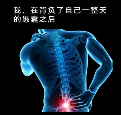 这是一张顶配底文的静态3D渲染图，画面主体是半透明的人体背部骨骼模型，人物一手扶着后腰、一手扶着脖颈，腰部脊柱位置有红色高亮的疼痛特效，直观呈现出腰部酸痛的状态。图上方配有文字“我，在背负了自己一整天的愚蠢之后”，创作者将身体的物理疼痛与心理的精神负担做类比，用幽默自嘲的方式抒发一天中因自身失误、蠢事而产生的心理疲惫与愧疚感，这种表达方式很容易让有类似经历的人产生共鸣，尤其贴合打工人在日常工作生活中犯错后的心境。