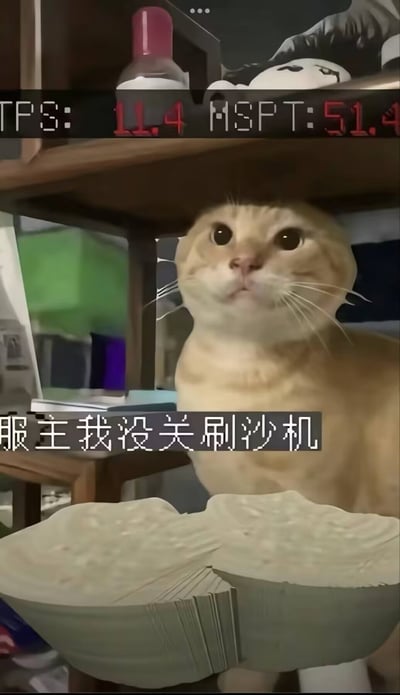 一只橘猫从木质架子下方探出头，表情无辜地向上张望。猫咪前方有一堆堆叠的砂纸状物品，上方架子上放置着一个粉色瓶盖的透明瓶子。图片顶部有红色数字显示"TPS: 11.4 MSPT: 51.4"，中间叠加白色文字"服主我没关刷砂机"，营造出猫咪向服务器管理员报告失误的搞笑场景。