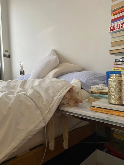 这是一张卧室场景的实拍照片，画面核心是一只浅橘色猫咪：它将脑袋枕在带有大理石台面的床头柜上，身体被米白色的被子盖住，两只前爪自然垂在床沿，正闭眼熟睡，神态放松。床头区域堆叠着几个柔软的枕头，有米白色和淡紫色的床品，显得温馨舒适。床头柜和旁边的书架上摆满了各类书籍，书脊上能辨认出《Little Weirds》《THE POWER BROKER》《Slouching Towards Bethlehem》等书名，整体环境简洁治愈，传递出慵懒闲适的生活氛围。