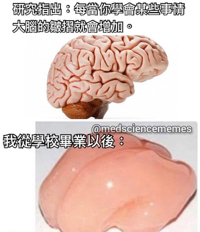 图片为上下对比结构的幽默梗图。上方展示一个布满皱褶的大脑模型，配文“研究指出：每当你学会某些事情大脑的皱褶就会增加。”；下方则是一个表面光滑、几乎无皱褶的大脑模型，配文“我从学校毕业以后：”。通过夸张对比，自嘲毕业后学习减少导致大脑“变光滑”，充满搞笑与无奈的情绪。