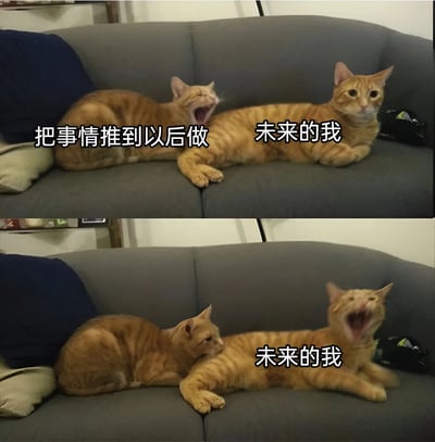 图片为上下两格对比图，内容是两只橘猫趴在灰色沙发上的场景。上格中左侧橘猫张大嘴巴打哈欠，配文“把事情推到以后做”，右侧橘猫则睁大眼睛平静注视前方，配文“未来的我”；下格中左侧橘猫转头看向右侧，右侧橘猫则张大嘴巴打哈欠，同样配文“未来的我”。通过猫咪的表情和文字对比，幽默地展现了拖延症患者将任务推给未来自己，而未来的自己同样选择拖延的有趣场景。