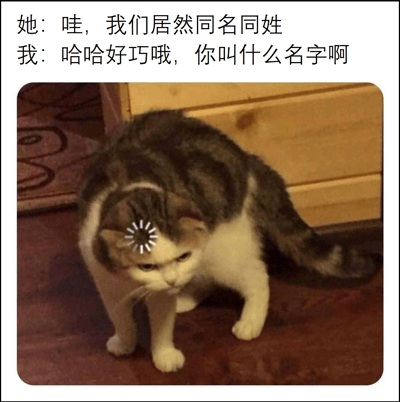 图片上方是一段对话文本：'她：哇，我们居然同名同姓' 和 '我：哈哈好巧哦，你叫什么名字啊'，展现了一方声称与对方同名同姓，而另一方因未记住对方名字而产生的幽默尴尬场景。下方是一只头部带有放射状星形特效（通常用于表示困惑或恍然大悟）的虎斑猫，猫咪低着头，眼神茫然，表情与上方对话的尴尬氛围相呼应，形成趣味共鸣。