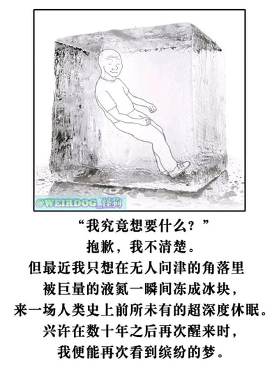 这是一张原创的图文结合创作图，上方是一块真实的冰块照片，创作者在冰块内部手绘了一个蜷缩着身体的简笔画人物，人物表情平静，呈现出一种封闭、隔绝外界的状态。图片下方搭配了一段充满迷茫与逃避情绪的文字，文字以自问“我究竟想要什么？”开篇，随后表达了自己不清楚目标，只想逃避当下，希望被液氮冻成冰块进入超深度休眠，期待未来醒来能重拾希望的心境。图片左下角带有@WEIRDOG_怪狗的水印，整体画面与文字相辅相成，精准传递出当代人在迷茫期想要逃离现实、隔绝外界的低落疲惫情绪。