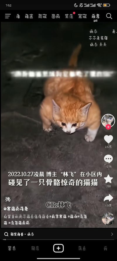 这是一张抖音平台的视频截图，画面主体是一只被P图修改形态的橘猫，它的身体被编辑成粗壮短胖的样子，模仿游戏《英雄联盟》里角色纳尔的外形，看起来“骨骼惊奇”。图中文字标注“2022.10.27凌晨 博主‘林飞’在小区内碰见了一只骨骼惊奇的猫猫”，实际是将真实橘猫的照片进行P图创作的趣味内容，搭配文案“就算是肌肉小猫也值得被爱”，结合#新手养猫 #猫咪#流浪猫 #流浪猫救助 等标签，以宠物+游戏玩梗的形式呈现，引发趣味效果。