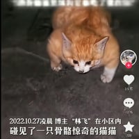 英雄联盟