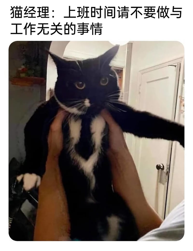 公司经理