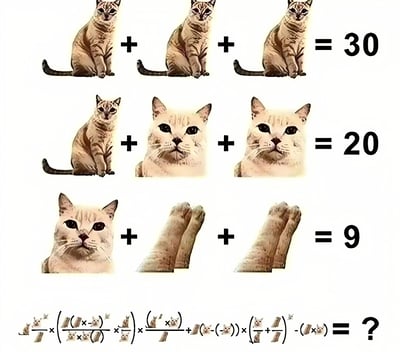 图片为一个以猫咪为元素的数学谜题，包含四行内容。第一行是三只完整坐立的猫咪相加等于30；第二行是一只完整坐立的猫咪加上两个猫脸图案等于20；第三行是一个猫脸图案加上两对猫爪图案等于9；第四行则是一个由小型猫咪图案、猫爪图案和数学运算符组成的复杂算式，末尾标有问号，需要求解结果。整体风格为卡通手绘风，猫咪形象可爱，通过替换传统数学谜题中的物体来增加趣味性。