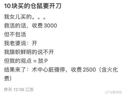 一张纯文字梗图，讲述了一个关于10元买的仓鼠需要3000元手术费的幽默故事。父亲认为性价比太低反对手术，而母亲坚持要救，最终仓鼠手术中死亡仍需支付2500元（含火化费）。通过夸张的价格对比和家庭决策中的无奈，展现了黑色幽默。