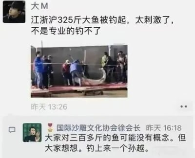该图为社交媒体截图，内容包含一条用户“大M”发布的动态，文字描述“江浙沪325斤大鱼被钓起，太刺激了，不是专业的钓不了”，并配有一张多人在平台上合力用网抬起巨型鱼的照片。下方有用户“国际沙雕文化协会徐会长”的评论：“大家对三百多斤的鱼可能没有概念。但大家想想。钓上来一个孙越。”通过将鱼的重量幽默类比为喜剧演员孙越的体重，让网友更直观感受鱼的巨大，充满趣味性。