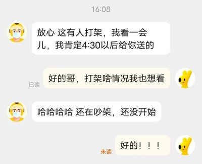 这是一张美团外卖平台的聊天记录截图，时间显示为16:08。对话中，外卖骑手告知顾客，因为正在围观他人吵架（尚未发展到打架），会在4:30之后再送餐；顾客表现出好奇，称自己也想看打架的情况，骑手回复目前还只是吵架阶段，还没开始打架，顾客则兴奋地回应“好的！！！”。整个对话氛围轻松有趣，展现了骑手与顾客之间接地气的、充满趣味的日常交流。