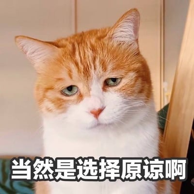 这是一张动物表情包，画面里有一只橘猫，表情看起来很淡定。猫咪下方配有大字“当然是选择原谅啊”，通常用来表达在不爽、尴尬或者无奈时选择宽容的态度，带有一定自嘲和调侃意味。这个梗常见于网络聊天，尤其是在朋友之间用来缓解尴尬或搞笑。

文字其实有双关，虽说“选择原谅”，但语气常常让人感觉是“忍一忍算了”或“其实很无奈”。猫的形象让释然的气氛更加夸张和萌趣。