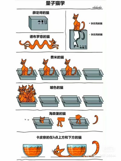 这是一张以橙色猫咪为载体，恶搞量子物理领域经典理论的连环梗图，将抽象的物理概念用具象的猫咪场景呈现，共分为6个对应不同物理学家理论的板块：
1. **薛定谔的猫**：对应薛定谔的生死叠加态思想实验，额外加入狄拉克的猫的设定，用盒子上下的猫咪对应狄拉克提出的正负电子概念；
2. **德布罗意的猫**：对应德布罗意的物质波理论，猫咪呈现出波浪形态，直观体现粒子的波粒二象性；
3. **费米的猫**：对应费米子的泡利不相容原理，每个盒子（量子态）中只能存在一只猫咪；
4. **玻色的猫**：对应玻色子的特性，多只猫咪可以共同处于同一个量子态（同一个盒子）；
5. **海森堡的猫**：对应海森堡不确定性原理，猫咪的身体分散成多个部分，体现无法同时准确观测粒子位置与状态的特性；
6. **卡皮察的在λ点上方和下方的猫**：对应卡皮察的氦超流理论，λ点上下氦的状态差异被具象为猫咪在容器中呈现超流体形态，仿佛能“爬出”容器。
整张图没有双关或谐音梗，核心是用趣味化的方式科普量子物理概念。