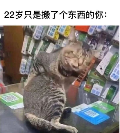 暂无描述