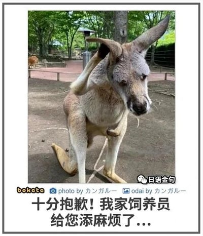 暂无描述
