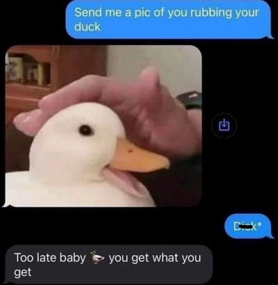 这是一张聊天记录截图，上方蓝色气泡消息写着“Send me a pic of you rubbing your duck”（让我看看你揉鸭子的照片），中间是一张实拍图：一只白色鸭子（橙色嘴巴，黑色眼睛）被一只手轻轻揉着头，鸭子嘴巴微张，表情惬意。下方灰色气泡回复“Too late baby 🦆 you get what you get”（太晚啦宝贝，你只能看这个了），右侧蓝色气泡有“Dick*”字样（疑似对“duck”的故意拼写错误）。
双关/谐音梗：“duck”（鸭子）与“Dick”（低俗俚语）的谐音双关，通过拼写错误制造幽默效果。