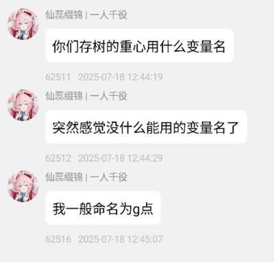 本图为一段技术聊天的截图，用户在讨论存储树的重心时如何命名变量，最后用“g点”命名，不仅是“gravity point”（重心点）的意思，也巧妙玩了网络谐音梗。‘g点’在网络语境中既有编程技术含义，又暗指生理用语，带有玩笑性质。