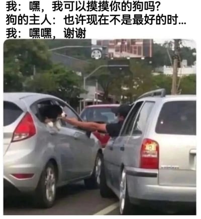 图片展示了两辆银色汽车在道路上并排停靠的场景。右侧车内的人伸出手臂，穿过车窗试图抚摸左侧车内探出头的黑白相间的狗。图片上方配有三行对话文字，分别是“我：嘿，我可以摸摸你的狗吗？”“狗的主人：也许现在不是最好的时...”“我：嘿嘿，谢谢”，通过对话展现了请求者不等主人说完就迫不及待互动的搞笑情景，营造出幽默诙谐的氛围。