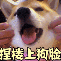 捏楼上狗脸的柴犬动态表情包
