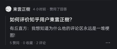 这是一张知乎平台的网页截图，展示了社区内的趣味互动场景：用户「東雲正樹」在4小时前赞同了一个以自己为评价对象的提问《如何评价知乎用户東雲正樹？》，在该提问下，用户「有丘直方」留言好奇提问：「我想知道为什么他的评论区永远是一堆梗图！」。该提问目前的社区数据为5个赞同、0收藏、2条评论。整个场景充满社区互动的趣味性，没有双关、谐音梗或暗示内容。对于图中的问题，推测是因为该用户「東雲正樹」自身的互动风格偏向趣味玩梗，长期下来带动了评论区的氛围，让其他用户习惯用梗图来进行互动，从而形成了他评论区的独特特色。