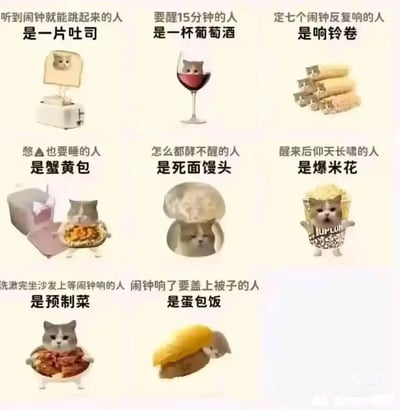 这是一张九宫格形式的趣味P图梗图，用网红猫咪的形象结合各类食物，对应不同的起床状态，具体对应关系如下：1. 听到闹钟就跳起来的人对应一片吐司：吐司被烤面包机弹出的形态，类比听到闹钟立刻弹起起床的状态；2. 要醒15分钟的人对应一杯葡萄酒：借葡萄酒需要“醒酒”的特点，类比起床需要时间醒神的状态；3. 定七个闹钟反复响的人对应响铃卷：“响铃”对应反复响起的闹钟，多个卷状的响铃卷也对应多个闹钟；4. 憋便也要睡的人对应蟹黄包：结合场景与食物，调侃赖床到极致的状态；5. 怎么都叫不醒的人对应死面馒头：用“酵（叫）不醒”的谐音梗，死面馒头无法发酵（醒），类比怎么都叫不醒的赖床状态；6. 醒来后仰天长啸的人对应爆米花：爆米花炸开的形态类比起床后长啸的崩溃状态；7. 洗漱完坐沙发上等闹钟响的人对应预制菜：预制菜是提前做好等待食用，类比提前洗漱好等待闹钟“触发”上班的状态；8. 闹钟响了要盖上被子的人对应蛋包饭：蛋包饭被蛋皮包裹的形态，类比听到闹钟后把自己用被子裹起来的赖床状态。所有形象均为网红猫咪被P成对应食物的样子，表情贴合对应起床状态的情绪，趣味十足，引发人们对起床日常的共鸣。