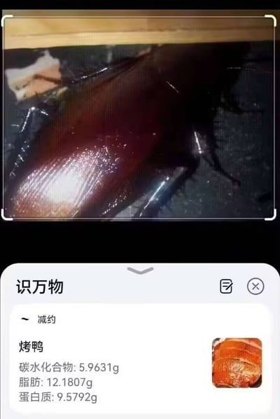 图片上半部分是一只深色蟑螂的特写照片，外壳带有光泽，细节清晰；下半部分是手机APP“识万物”的识别结果界面，显示将蟑螂错误识别为“烤鸭”，并列出精确到小数点后四位的营养成分：碳水化合物5.9631g、脂肪12.1807g、蛋白质9.5792g。整体场景因AI图像识别的荒谬错误产生强烈喜剧效果，蟑螂与烤鸭的巨大差异和一本正经的营养数据形成鲜明反差。