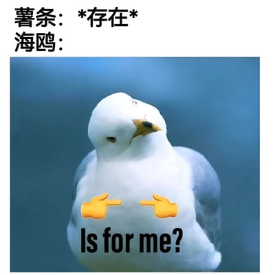 图片上方有文字“薯条：*存在* 海鸥：”，下方是一只白色海鸥的特写，背景为蓝色。海鸥胸前被添加了两个黄色的手指emoji，指向自己，下方配有英文文字“Is for me?”。整体营造出一种海鸥看到薯条后，误以为是给自己的呆萌又搞笑的场景。