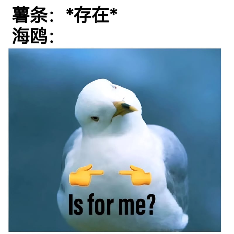 海鸥