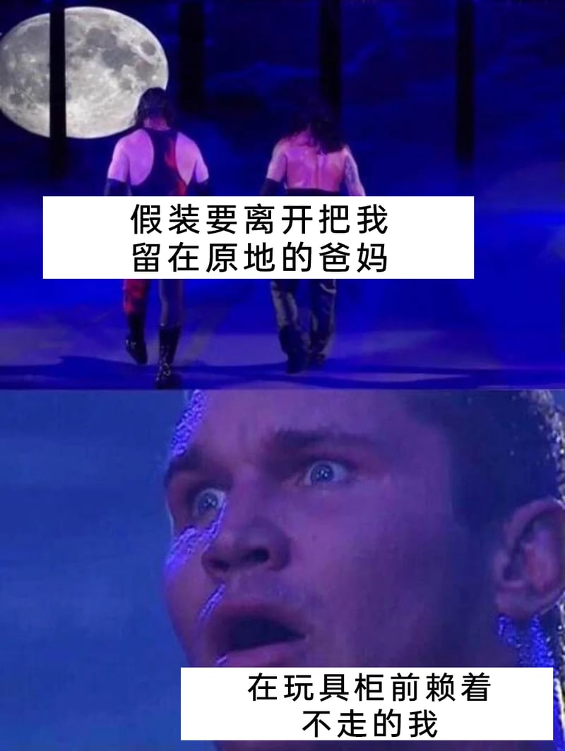 WWE世界摔角娱乐赛事