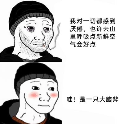这是一张采用上下对比构图的Wojak网络梗图，上图中，戴着黑色针织帽的Wojak角色满脸胡茬、眼神疲惫，嘴里叼着烟，配文“我对一切都感到厌倦，也许去山里呼吸点新鲜空气会好点”，传递出强烈的厌世、疲惫情绪；下图中，同一个角色脸颊泛红，眼神明亮兴奋，配文“哇！是一只大脑斧”，利用中文谐音梗将“大老虎”说成“大脑斧”，通过进山前后角色的情绪巨大反差，制造出荒诞又搞笑的效果，展现出厌世情绪被可爱事物瞬间治愈的反差萌。