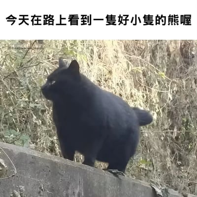 暂无描述
