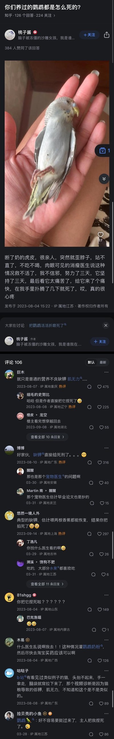 这是知乎问答「你们养过的鹦鹉都是怎么死的？」下的一条回答截图：用户「桃子酱」分享了自己养的虎皮鹦鹉突然出现歪脖子、站不直、不吃不喝的症状，医生判定无法救治，主人为了让鹦鹉解脱手动结束了它的生命。但评论区的网友热评指出，这其实是虎皮鹦鹉缺钾导致的肌无力，只需要补充钾元素（比如喂香蕉）就能恢复，主人的行为相当于误杀了鹦鹉，让这个原本充满心疼的养宠故事变成了充满遗憾和扎心笑点的经历。
没有双关、谐音梗或暗示内容。
